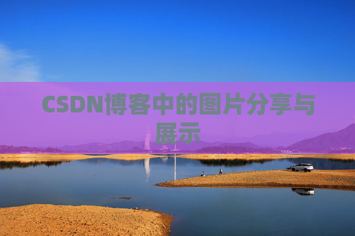 CSDN博客中的图片分享与展示
